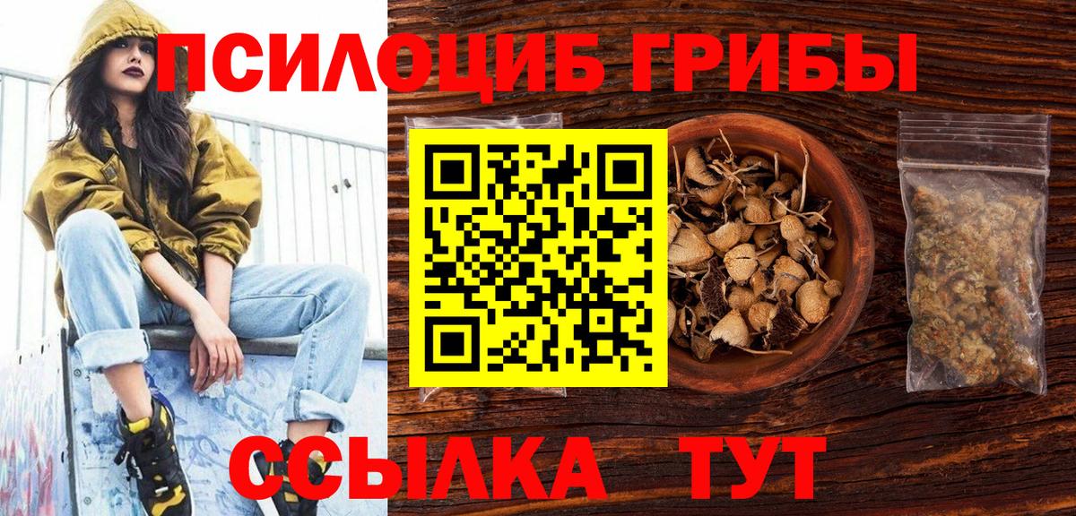 Псилоцибиновые грибы GOLDEN TEACHER  Вход с VPN  Алексеевка  Галлюциногенные грибы Psilocybe 
