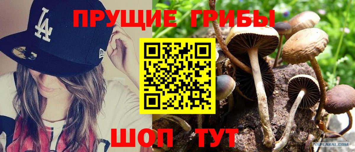 Галлюциногенные грибы MAGIC MUSHROOMS Алексеевка